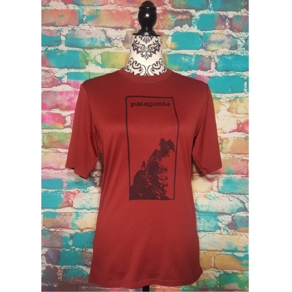 Patagonia Other - Patagonia Tee Shirt Rare Mountain Graphic Mens